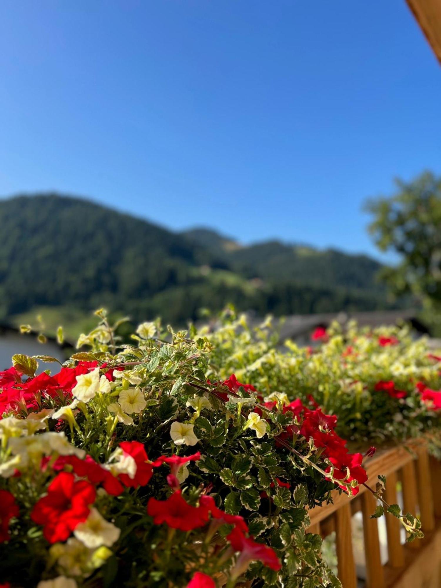 Residenz Theresa Söll Esterno foto